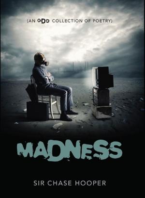 Cover of Madness (An Odd Collection of Poetry)