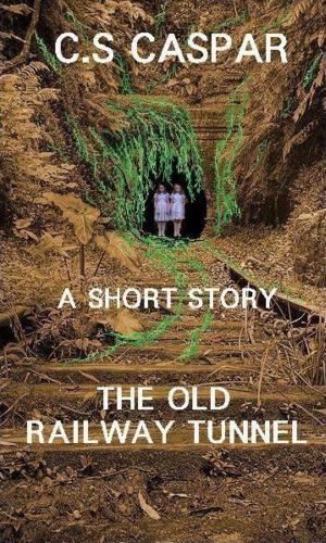 Cover of the book The Old Railway Tunnel by Nathalie Guarneri