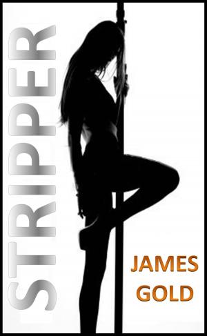 Cover of the book Stripper by Brantwijn Serrah
