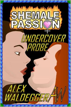 bigCover of the book Undercover Probe by 