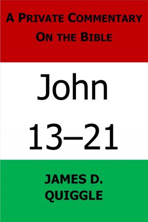 Cover of the book A Private Commentary on the Bible: John 13-21 by James D. Quiggle