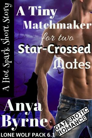 Cover of the book A Tiny Matchmaker for Two Star-Crossed Mates by Margaret Wander Bonanno
