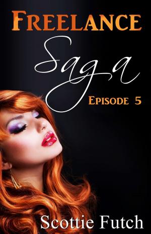 Book cover of Freelance Saga Episode 5