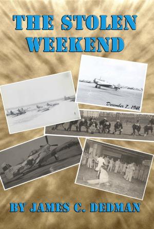 Book cover of The Stolen Weekend