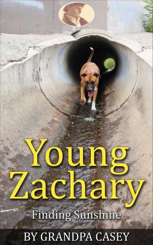 Book cover of Young Zachary Finding Sunshine