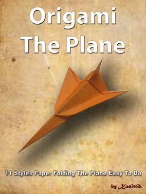 Book cover of Origami The Plane: 11 Styles Paper Folding The Plane Easy To Do