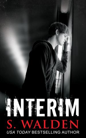 Cover of the book Interim by Robert James Allison