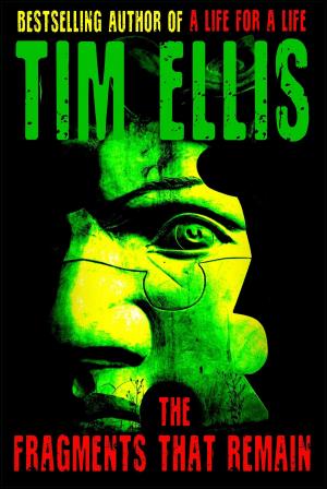Cover of the book The Fragments That Remain by Tim Ellis