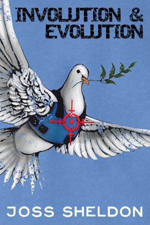 Cover of the book Involution & Evolution by Sian Cummins