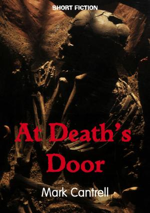 Cover of the book At Death's Door by Edward D. Hoch
