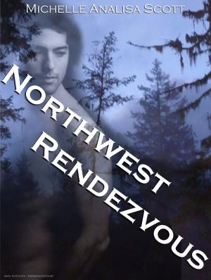 Cover of the book Northwest Rendezvous by Richard Bowker