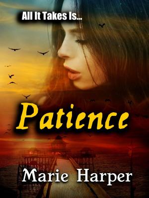 Book cover of All It Takes Is...Patience