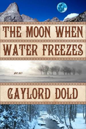 Cover of the book The Moon When Water Freezes by Lisa Manzione