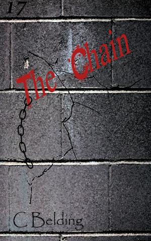 Cover of the book The Chain by Renee Benzaim