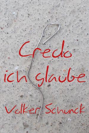 Cover of the book Credo: Ich Glaube by Volker Schunck