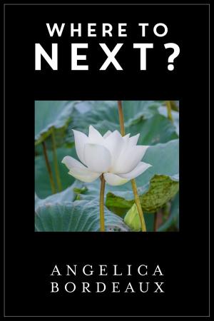 Cover of the book Where to Next? by Angelica Bordeaux