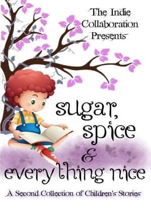 Book cover of Sugar, Spice and Everything Nice