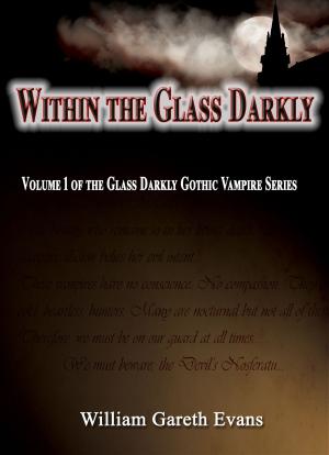 Book cover of Within the Glass Darkly