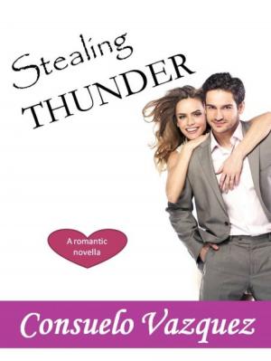 Cover of the book Stealing Thunder by Ann Omasta