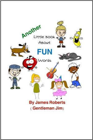 Book cover of Another Little Book About FUN Words