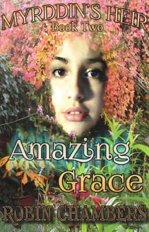Cover of the book Book 2: Amazing Grace by Dylan White
