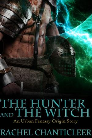 Cover of the book The Hunter and the Witch by K. Writerly