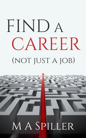 Cover of the book Find a Career (Not Just a Job) by Daniel Bryan Jones