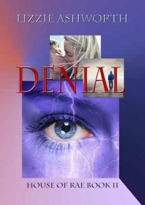 Cover of the book Denial by Lizzie Ashworth