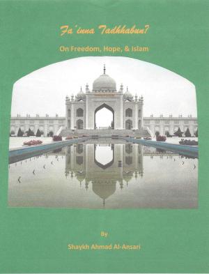 Cover of the book Fa'inna Tadhhabun? On Freedom, Hope, & Islam by Howard Kurtz