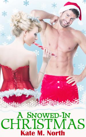 Cover of the book A Snowed-In Christmas: An Erotic Romance Novel by Laura Mckenzie, Golden Deer Original