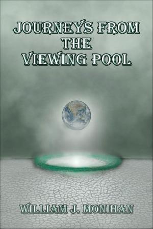 Cover of the book Journeys from the Viewing Pool by Shane Greenhough