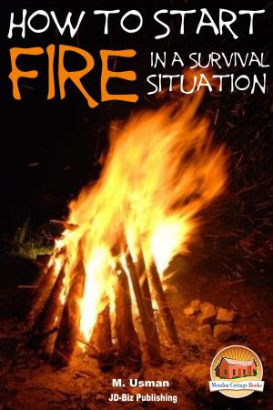 Cover of the book How to Start a Fire In a Survival Situation by Molly Davidson