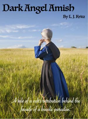 Cover of the book Dark Angel Amish by Scott Wittenburg
