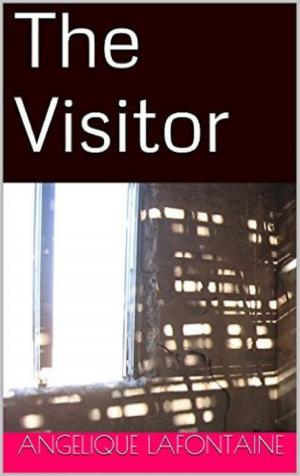 Cover of the book The Visitor by Monique Farrow