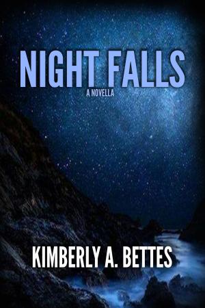 Cover of the book Night Falls by Gerd Holzheimer, Antoine de Saint Exuéry