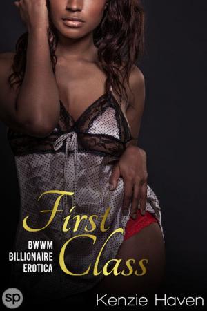Cover of the book First Class by Tanya Colt