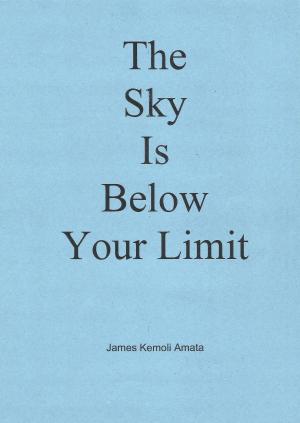 Cover of the book The Sky Is Below Your Limit by James Kemoli Amata