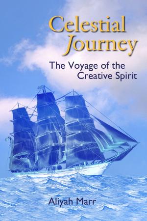 Book cover of Celestial Journey, The Voyage of the Creative Spirit