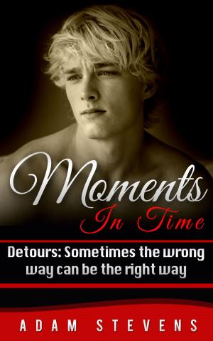 Cover of Moments In Time Detours: Sometimes The Wrong Way Can Be The Right Way by Adam Stevens, Adam Stevens