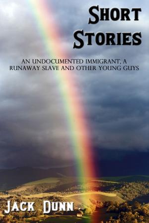 Cover of the book Short Stories by Charles Dufresny