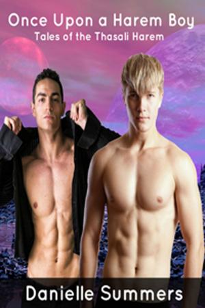 Cover of the book Once Upon a Harem Boy by Elizabeth Andre, Jade Astor