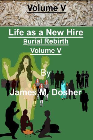 Cover of the book Life as a New Hire, Burial Rebirth, Volume V by Martin Vine