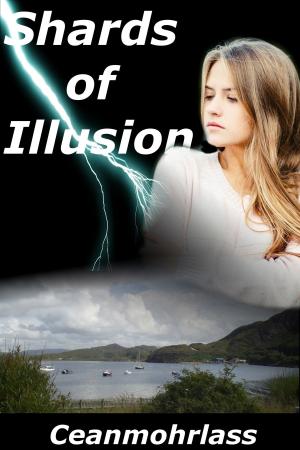 Cover of the book Shards of Illusion by Gerald M. Kilby