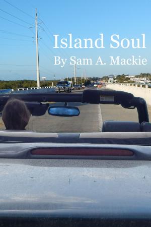 Cover of the book Island Soul by Achim Koch