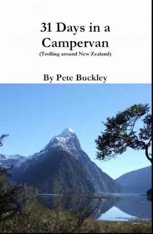 Cover of 31 Days in a Campervan