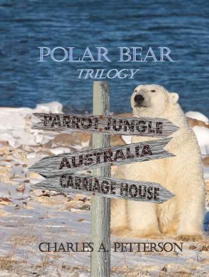 Cover of the book Polar Bear in the Carriage House Vol 3 of Polar Bear Trilogy by Libby Broadbent