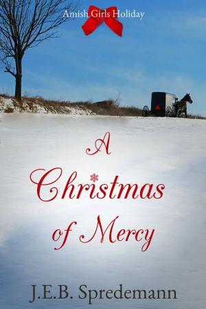 Book cover of A Christmas of Mercy (Amish Girls Holiday)
