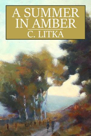 Cover of the book A Summer in Amber by Meriam Wilhelm