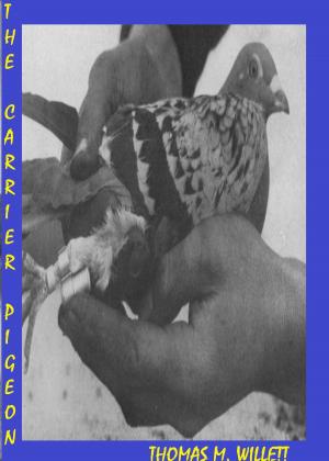 Cover of The Carrier Pigeon
