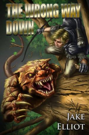 Cover of the book The Wrong Way Down (Book One) by Brian Hammar